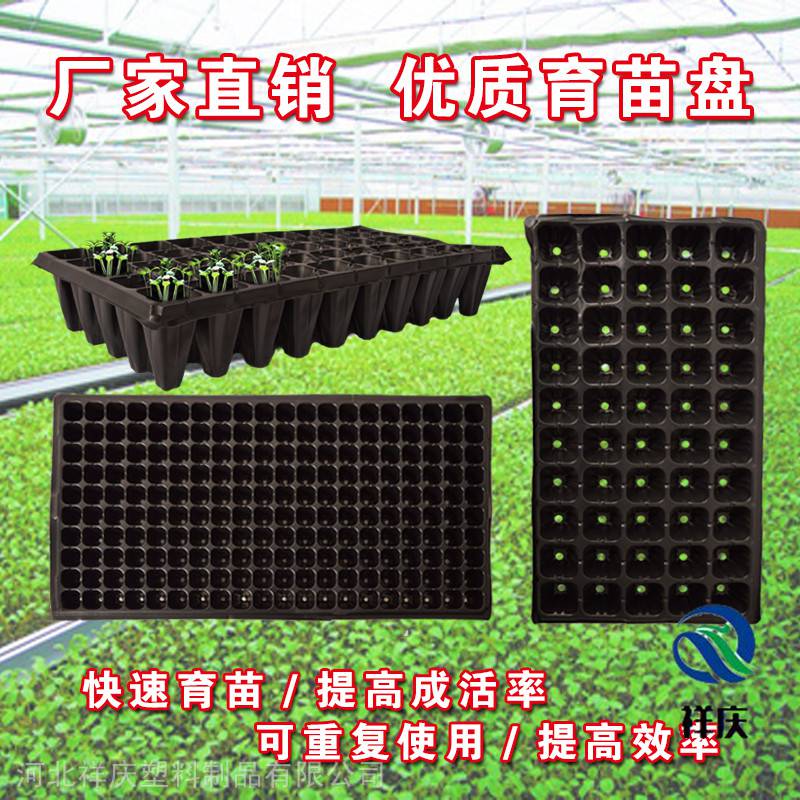 解密穴盤(pán) 育苗盤(pán)的選擇與河北祥慶塑料制品的優(yōu)勢(shì)