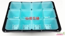 芽菜盆與育苗盤(pán)選購(gòu)全攻略 最新產(chǎn)品參考與實(shí)用指南