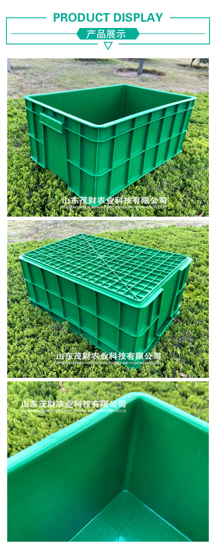 綠色高效，從一箱優質花生芽開始——廠家直銷水培箱解析
